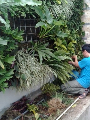 Jasa Pembuatan Taman di Bandung